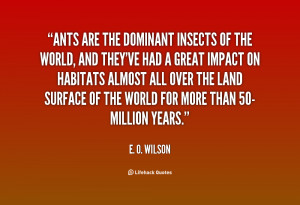 Quote About Ants