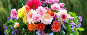 Roses gerberas carnations flowers bouquet mix pitcher X wallpapers