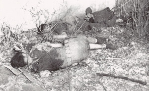 Pearl Harbor Dead Bodies