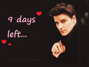 ... Anj-s-Birthday-David-Boreanaz-Angel-anjs-angels-34086205-1024-768.jpg