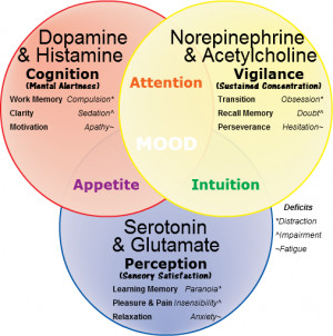 Neurotransmitters are divided into two basic categories: