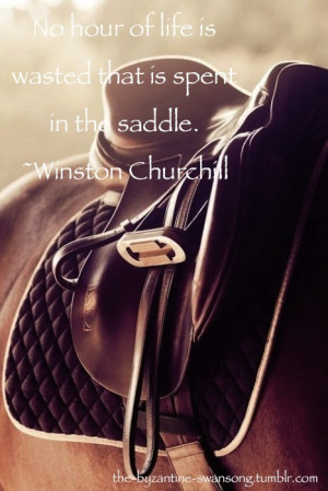 horse quotes | via Tumblr