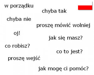 home polish common words and phrases 2 common words and phrases 2