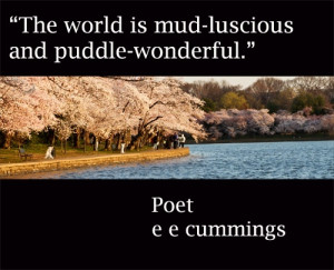 The world is mud-luscious and puddle-wonderful.