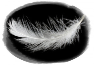 Mike Perry's post on white feathers at 