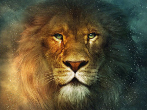 ... pictures/2010/12/01/Aslan-Lion-The-Chronicles-of-Narnia-Wallpaper.jpg