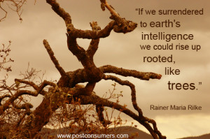 ... , we could rise up rooted like trees.” Rainer Maria Rilke