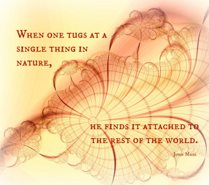 When one tugs at a single thing in nature, he finds it attached to the ...