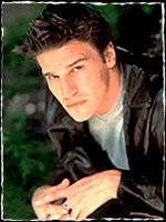 for more david pictures click here david boreanaz quotes angel