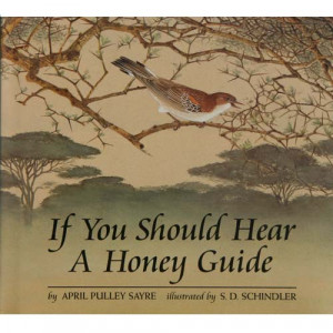 temperate climate precipitation. temperate forest animals adaptations ...