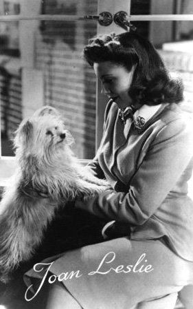 Pawsome Pet Pictures: Joan Leslie.