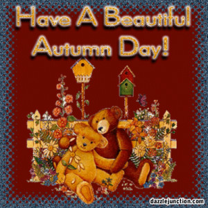 bear-beautiful-autumn