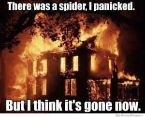 There was a spider i panicked