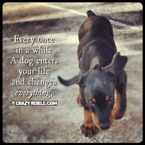 dog changes everything! #love #quotes #puppy #doberman