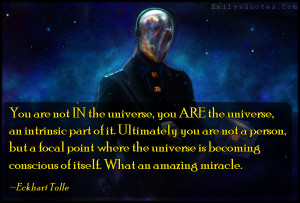 you are not in the universe you are the universe an intrinsic part of ...