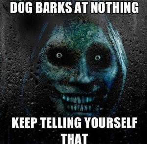 Dogs bark at nothing. Keep telling yourself that…