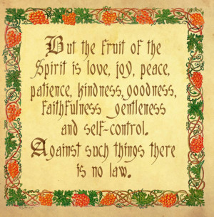 35+ Inspirational Bible Quotes