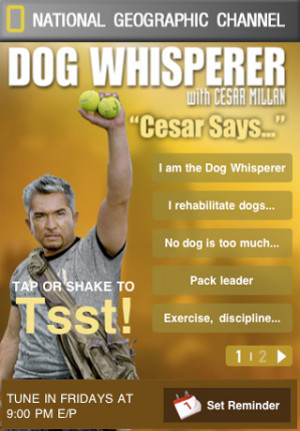 Dog Whisperer – Cesar Says