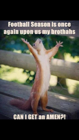 Amen! FUNNY picture of squirrel proclaiming football season!