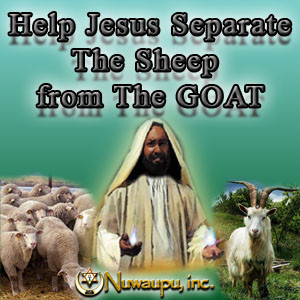 Help Jesus Seperate The Sheep From The Goat