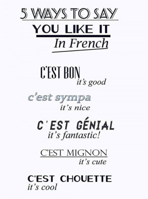 simple phrases in French.
