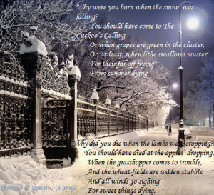 delusions in death 2shared