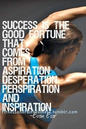 Success is the Good Fortune that Comes From Aspiration, Desperation ...