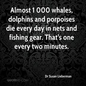 Almost 1 000 whales, dolphins and porpoises die every day in nets and ...