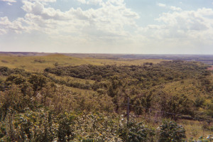 Military Draft Letter