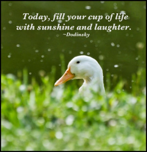 Today fill your cup of life with sunshine and laughter