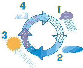 Related Pictures the water cycle for kids