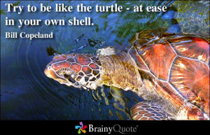 Try to be like the turtle - at ease in your own shell ~ Inspirational ...