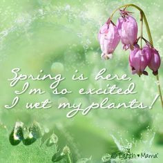 ... is here and I'm so excited I wet my plants! #springfever #mamasays