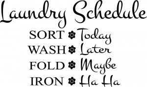Laundry-Schedule-Sort-Fold-vinyl-wall-decal-quote-sticker-decor ...