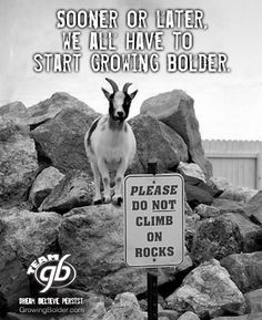 ... to start growing bolder # quotes # motivation more signs the police