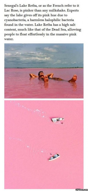 funny pink lake 511 x 1101 jpeg credited to funny