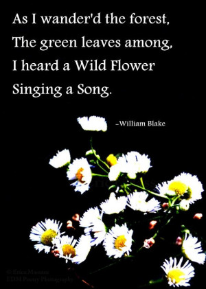 ... Blake Quotes, Blake Poems, Birthday Cards, Birthday Wish, Inspiration