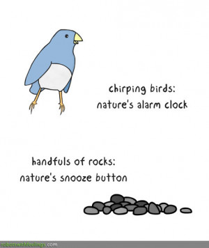 Nature’s Alarm Clock