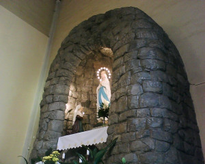 Home » Search results for 