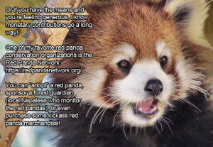 Adopt a Red Panda Sponsor A Forest Guardian Go on an EcoTrip to Nepal ...