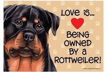 Cute Rottie Signs / by LuvRotts