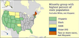 Chloropleth map showing state minority groups with highest percent ...