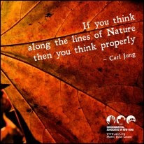 ... Carl Jung. Inspiring environmental quotes. Environmental Advocates of