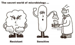 Funny Jokes Bacteria Microbiology Pictures
