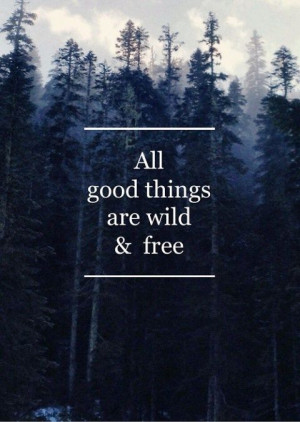 good things are wild & free #hipster #indie #forest #wisdom #trivial ...