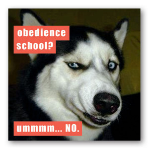 Obedience School Magnet