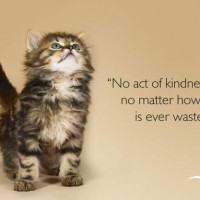 Kind Quotes To Warm Your Heart Recipe