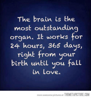 funny brain quote love