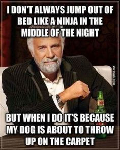 Funny Dos Equis Meme: How to wake up before your alarm clock goes off ...