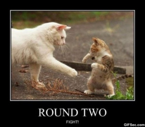 More Funny Pictures: